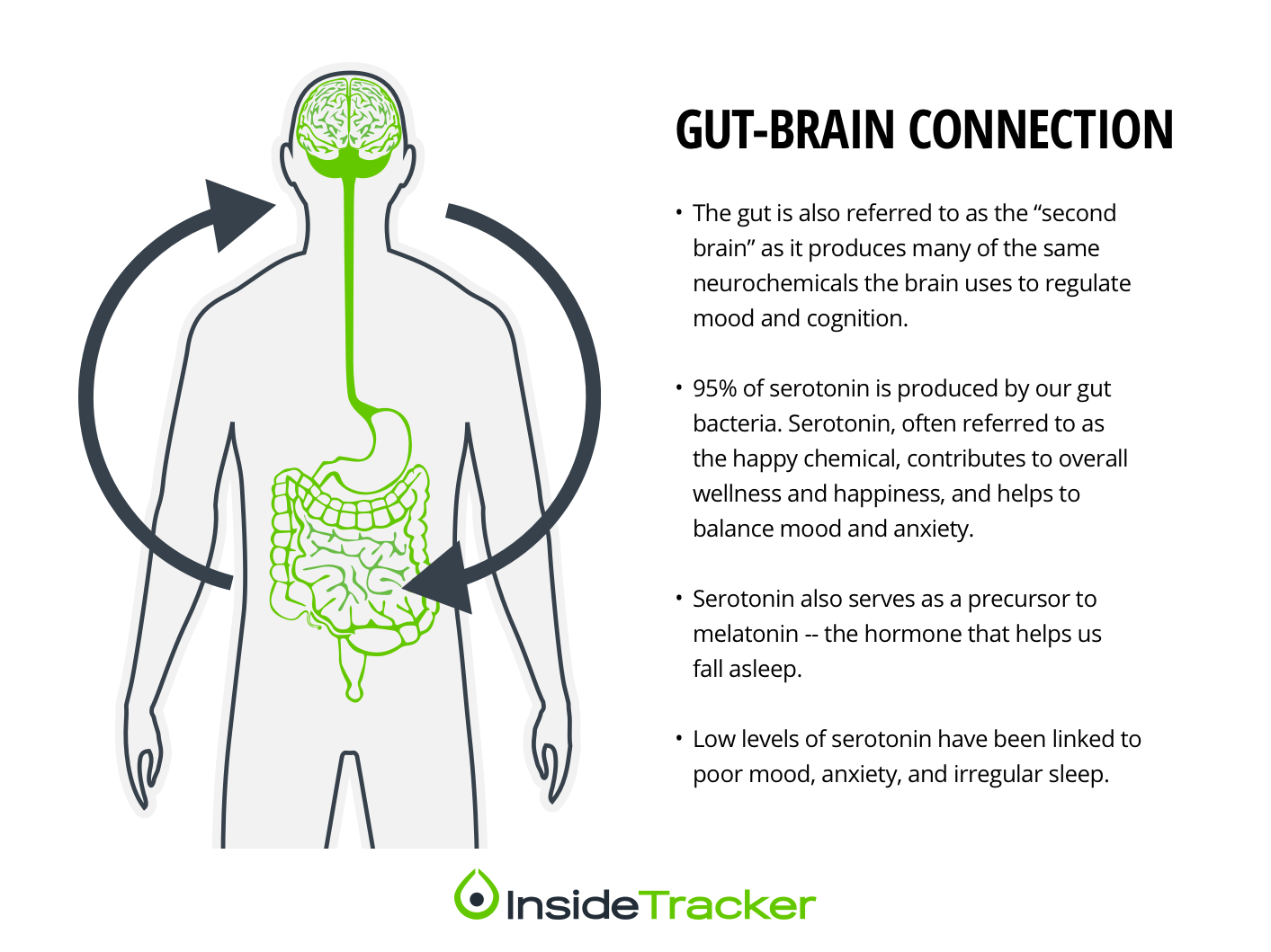 The Gut-Brain Axis: How Gut Health Influences Dementia Risk